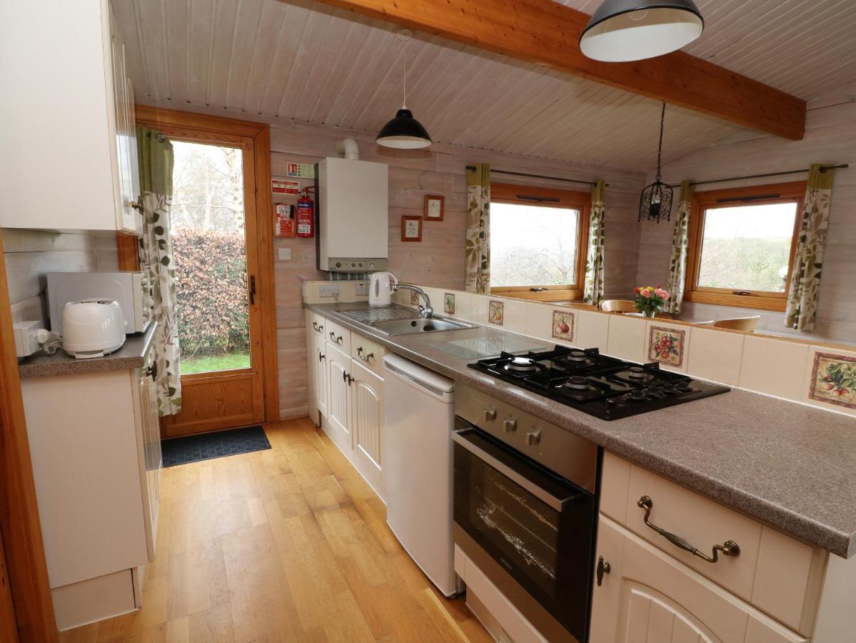 Barn Owl Lodge Rhayader Kültér fotó